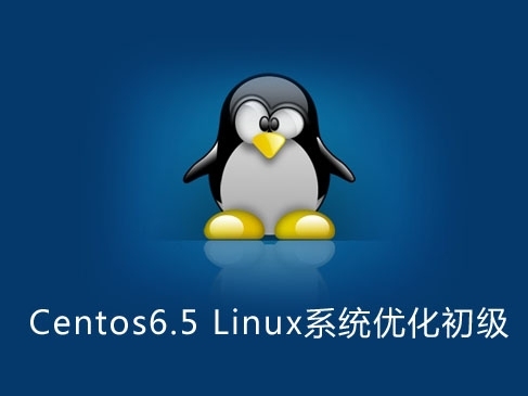 Centos6.5 Linux系统优化入门