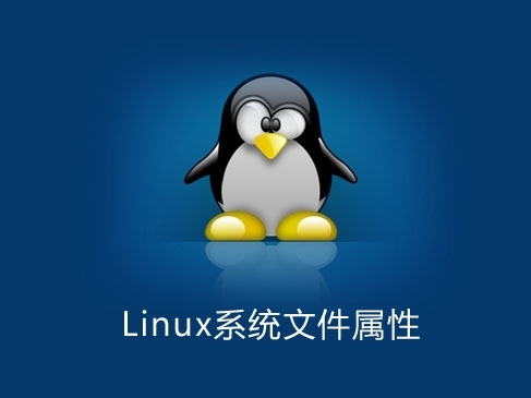 Linux系统文件属性知识入门