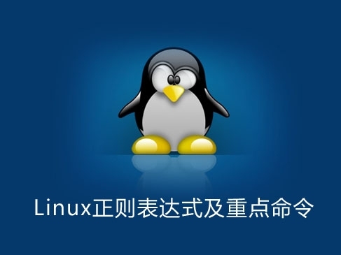 Linux正则表达式及重点命令实战