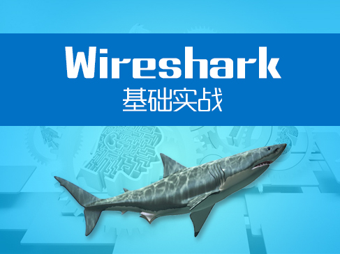 网络/安全Wireshark基础实战