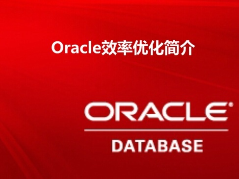 Oracle效率优化精讲