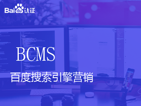 百度基础级认证BCMS-百度搜索引擎营销精讲