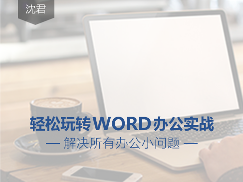 Word办公实战