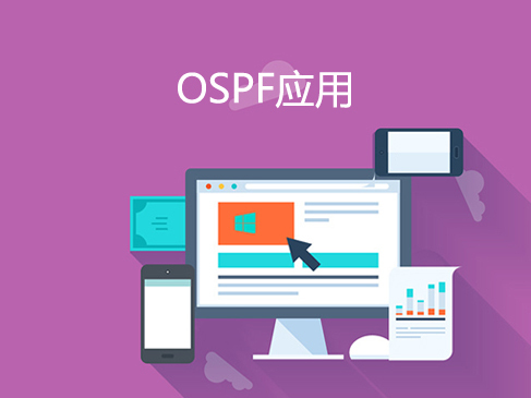 高级网络之OSPF应用实战