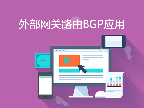 高级网络之外部网关路由BGP应用入门