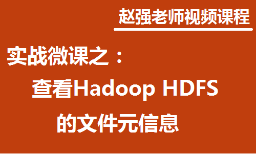 查看Hadoop HDFS的文件元信息